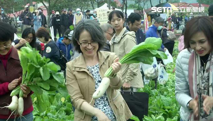 人生第一次拔蘿蔔！蕭美琴笑稱邱議瑩：以前黑珍珠現在是「白蘿蔔西施」