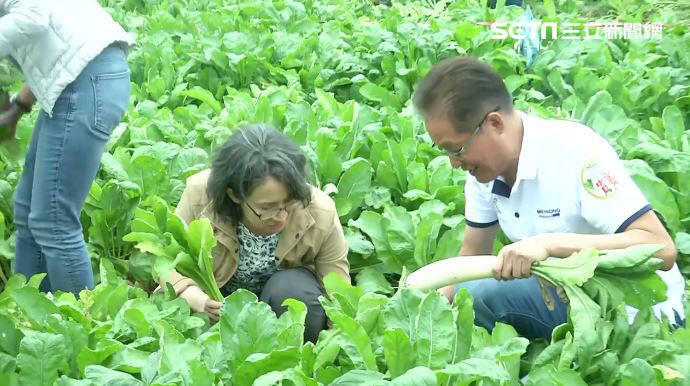 人生第一次拔蘿蔔！蕭美琴笑稱邱議瑩：以前黑珍珠現在是「白蘿蔔西施」