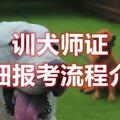 2023年訓犬師證怎麼考，最新消息來了