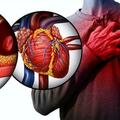心臟有3根冠狀動脈，堵了一兩根，身體會怎麼樣？3種影響要重視
