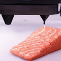 世界首款全素「3D列印鮭魚」將上市！超商就能買到「一塊200元」