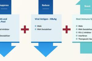B肝在研新藥AB-729，專有GalNAc遞送單觸發劑，001試驗核心結論