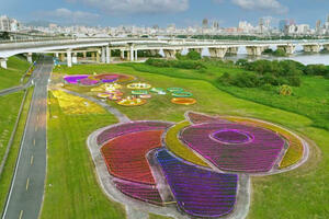 「花繪三重奏」冬日限定！鴨鴨公園光雕花海14日驚豔登場