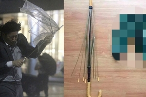 壞掉的雨傘不是垃圾！網路瘋傳「10招廢棄雨傘妙用」！絕對讓你目瞪口呆大開眼界！