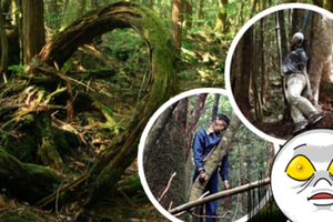 世界上最恐怖的森林莫過於此地，富士山山腳下的「自殺森林」，每年有上百具屍體！