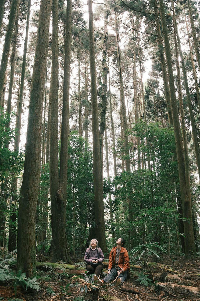 《樹冠羞避》遠赴苗栗加里山上拍攝，演員韓寧（右）與吳碧蓮飾演孫女、阿嬤。（公視提供）