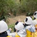 看熊貓、觀恐龍……「童心築夢 研旅成華」親子研旅公益活動順利開展