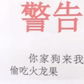 家門被鄰居貼「警告」！門把驚見掛著「紅通通證據」牠表情超無辜