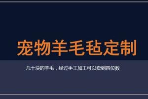 適合手藝人的項目，寵物羊毛氈定製，雖然不起眼但變現空間大