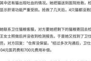 演員胡歌代言貓糧翻車，網友四隻貓吃後去世，有人把胡歌拉黑名單