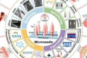 從四個方面深度剖析微針在傷口癒合及組織再生中的應用