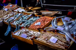 中國禁日本水產「恐改進口印度貨」 微博網友崩潰:不要進來啊 中國禁日本水產「恐改進口印度貨」 微博網友崩潰:不要進來啊