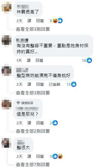 謝金燕挨酸整很大。（圖／翻攝自謝金燕臉書）