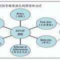 ANTI∙DF原則對糖尿病足防治的指導作用