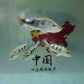 魚缸各處、各種過濾形式魚缸里的垃圾、糞便，應該如何清理？