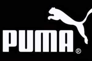 PUMA（彪馬）——阿迪的競爭對手，應勢而生的大牌