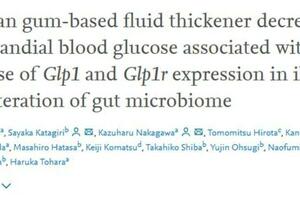 日本研究：黃原膠類液體增稠劑有助於降低血糖水平