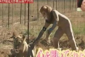 超爆笑!! 野生動物觸碰大作戰 - 獅子篇