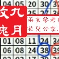 【九月玫瑰】「今彩539」02月10日 兩支參考!!花兒分享..~✿