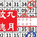 【九月玫瑰】「今彩539」04月17日 分享參考!!兩朵花兒分享..~✿