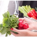 副食品專家教你這樣洗菜、挑菜不怕有農藥！