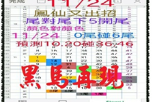 【一五八】11月24日黑馬再現~有機會也要有好運，鳳仙版。