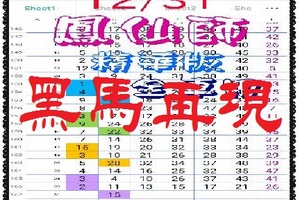 【一五八】01月03日黑馬再現~^精華版再度公開 鳳仙師。全車用。