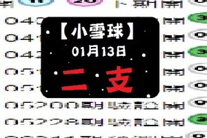 【小雪球】「今彩539」01月13日二支參考!!