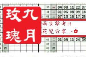 【九月玫瑰】「今彩539」02月08日 兩支參考!!花兒分享..~✿