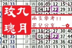 【九月玫瑰】「六合彩」02月09日 兩支參考!!花兒分享..~✿