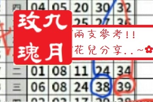 【九月玫瑰】「今彩539」02月10日 兩支參考!!花兒分享..~✿