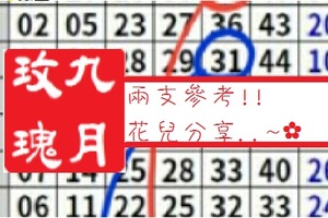   【九月玫瑰】「六合彩」02月14日 兩支參考!!花兒分享..~✿