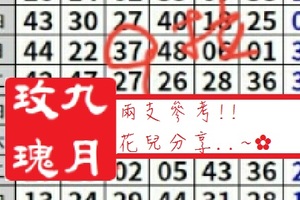 【九月玫瑰】「六合彩」02月25日 兩支參考!!花兒分享..~✿