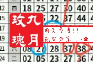 【九月玫瑰】「六合彩」03月02日 兩支參考!!花兒分享..~✿