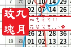 【九月玫瑰】「六合彩」03月04日 兩支參考!!花兒分享..~✿