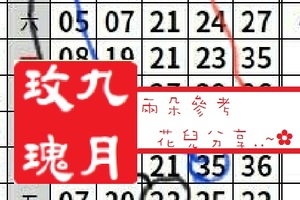 【九月玫瑰】「今彩539」04月10日 分享參考!!兩朵花兒分享..~✿