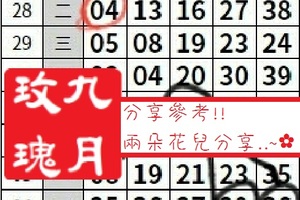 【九月玫瑰】「今彩539」04月26日 分享參考!!兩朵花兒分享..~✿