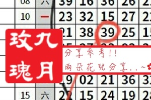 【九月玫瑰】「今彩539」04月29日 分享參考!!兩朵花兒分享..~✿