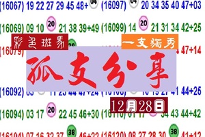 彩色斑馬一支獨秀~六合彩孤支分享版!!12月28日參考無絕對~