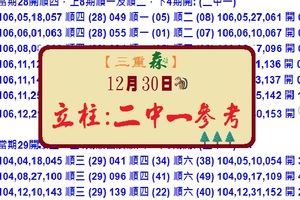 寂靜森林【2017六合彩】12/30(153)三重森立柱二中一參考