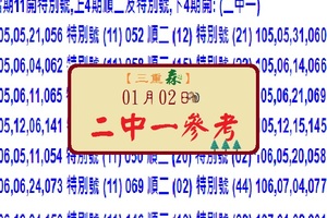 【六合彩寂靜之森】三重森之107/1/2(001)二中一參考號