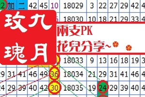 九月玫瑰六合心水版04月10日PK兩支花兒參考~二枝花