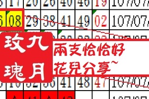 2018六合花九月玫瑰用心就會看到07月19日兩支恰恰好