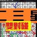 11/22.六合彩 .二三星 雙對碰.順七第三人選....