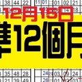 12月15日 六合彩 準13個月 ~ 獨支 專車 ~