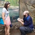 男子在動物園求婚被河馬凝視網友:這河馬單身