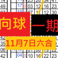 11月7日六合一期板 獨支 風向球...