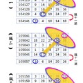 7月21日 金彩539 ~參考就好