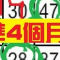 12月13日 六合彩 ~準4個月 ~獨支專車