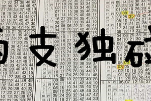 09-13 六合彩 兩支叁考一下..